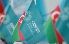 COP29-da yaşıl gələcək proqramlarının maliyyələşdirilməsi müzakirə olundu