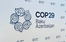 COP29-da qeydiyyatdan keçənlərin sayı AÇIQLANDI