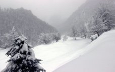 Hava kəskin DƏYİŞİR: Qar yağacaq, yollar buz bağlayacaq - BU TARİXDƏ