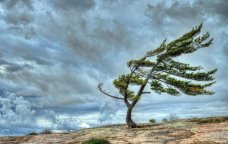Hava KƏSKİN DƏYİŞİR – Temperatur enəcək, külək GÜCLƏNƏCƏK