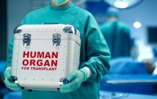 Məhkumların orqanlarını bağışlaması niyə QADAĞANDIR?