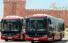 Gəncədə 22 avtobus marşrutu fəaliyyətə BAŞLAYIR