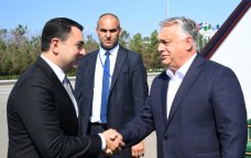 Orban Qəbələdədir – FOTO