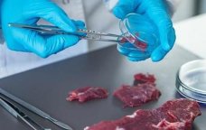 Bahalaşmaya alternativ ÇÖZÜM – Süni ət satışa çıxarılacaq?
