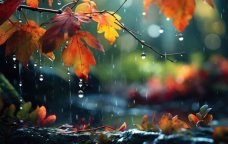 Leysan yağacaq, şimşək çaxacaq – XƏBƏRDARLIQ