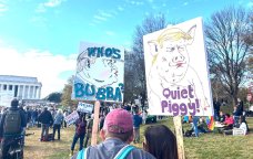 “Sən Ukraynanı satdın!” — Vaşinqtonda insanlar Trampa qarşı etiraza qalxdılar - FOTO