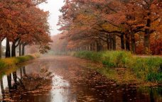 GÜNÜN HAVASI: Çiskinli yağış yağacaq