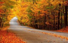 Bu gün hava necə olacaq?