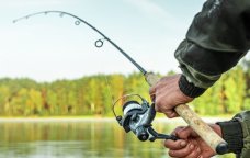 Bu gündən Azərbaycanda ov QADAĞAN OLUNUR