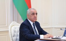 Baş nazirdən bal arıları ilə bağlı QƏRAR – FOTO