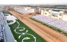 Əbu-Dabidə Qarabağ atları nümayiş etdirildi - VİDEO