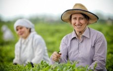Fermerlərə ŞAD XƏBƏR – Bu metodla xəstəlik və zərərverici riskləri əvvəlcədən görmək mümkündür