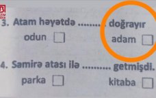 3-cü sinfin KSQ imtahanındakı sual QALMAQAL yaratdı – “Atam həyətdə adam doğrayır?”