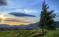 Küləkli hava ilə bağlı bölgələrdə SARI XƏBƏRDARLIQ verildi