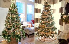 Allergiyası olanlar “Yolka”dan uzaq dursunlar – Həkimdən təhlükəsi barədə XƏBƏRDARLIQ