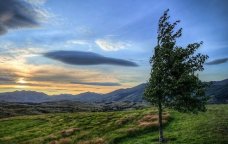 Bakı və bölgələrdə külək güclənir - FAKTİKİ HAVA