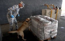 Azərbaycanda 2 tona yaxın narkotik qanunsuz dövriyyədən çıxarılıb &ndash; RƏSMİ