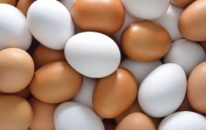 Doğru bildiyimiz YANLIŞ &ndash; Qabığı hansı rəngdə olan yumurta daha faydalıdır?