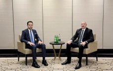 İlham Əliyev Əbu-Dabidə Müsəlman Ağsaqqalları Şurasının baş katibi ilə görüşdü - VİDEO