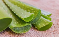 Aloe - hansı məhsullarda var və faydalı xüsusiyyətləri