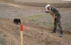 Azad olunan ərazilər minalardan belə təmizlənir – FOTO
