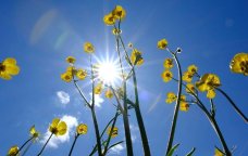 Faktiki hava AÇIQLANDI: Bakıda 26 dərəcə isti...