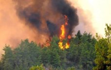 Bu bölgələrimizdə meşə yanğınları riski ARTIR &ndash; Ekoloqdan XƏBƏRDARLIQ