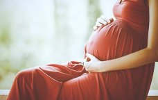 Sosial şəbəkələrdə surroqat ana "OVU&rdquo; &ndash; Onları hansı cəza gözləyir? &ndash; FOTOFAKT