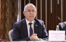 Komitə sədri: &ldquo;Astarada naringilər sahələrdə qalıb, satış üçün yer tapılmır&rdquo;