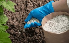 Qlobal gübrə bazarında BÖHRAN - Azərbaycana necə təsir edəcək?