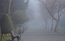 GÜNÜN HAVASI: 14 dərəcə isti, duman...