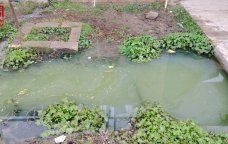 Eyni arxda ölən iki qardaşla bağlı rəsmi qurumdan AÇIQLAMA &ndash; &ldquo;Körpə orada nə gəzirdi?&rdquo; &ndash; VİDEO