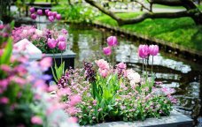 Azərbaycana yaz gəldi