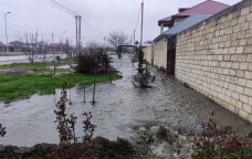 Qubada 10-dan çox həyəti çirkab suları basıb - FOTO/VİDEO