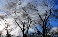 Azərbaycanda küləkli hava ilə bağlı SARI XƏBƏRDARLIQ