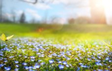 GÜNÜN HAVASI: 20 dərəcə isti, yağış, qar...