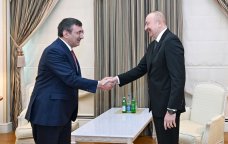 İlham Əliyev Türkiyənin Vitse-prezidenti ilə GÖRÜŞDÜ - FOTO