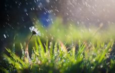 Leysan olacaq, dolu düşəcək - BU TARİXLƏRDƏ