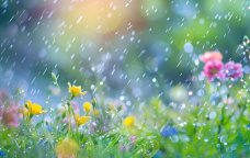 Sabah da yağış yağacaq