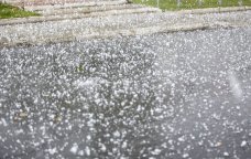 Sabahın havası: Şimşək çaxacaq, dolu düşəcək