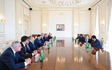 Prezident Rixard Raşinin başçılıq etdiyi nümayəndə heyətini qəbul etdi &ndash; FOTO/VİDEO