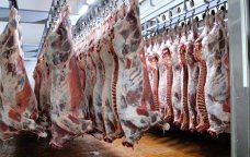 Braziliya ətlərində TƏHLÜKƏ AŞKARLANDI &ndash; Azərbaycana da İDXALI DAYANDIRILACAQ?