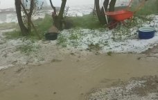Qubanın dağlıq kəndlərinə dolu düşdü: Təsərrüfatlara ziyan dəydi - FOTO-VİDEO