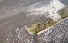 Zaqatalaya leysan yağdı, bəzi ərazilərə dolu düşdü - FOTO-VİDEO