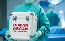 Sümük iliyi transplantasiyasına ehtiyacı olan xəstələrin SAYI AÇIQLANDI &ndash;RƏSMİ