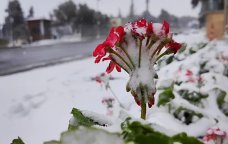 Bu ərazilərə qar yağıb - FAKTİKİ HAVA