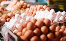 Yumurta UCUZLAŞACAQ – 1 qəpiyə SATILACAQ?