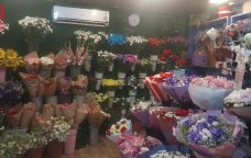 Güllər niyə əvvəlki kimi ətirli deyil? &ndash; Səbəbi BƏLLİ OLDU