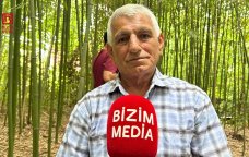 50 günə yetişdirdiyi ağacları biznesə çevirdi &ndash; Lənkəranlı fermerin bambuk &ldquo;meşəsi&rdquo; &ndash; FOTO