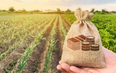 Aqrar sahədə YENİLİK &ndash; Məhsul şəhadətnaməsi tətbiq olunacaq &ndash; DETALLAR